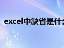 excel中缺省是什么意思（缺省是什么意思）