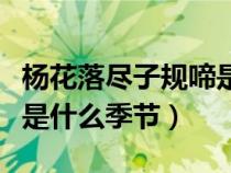 杨花落尽子规啼是什么生肖（杨花落尽子规啼是什么季节）