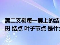 满二叉树每一层上的结点数及总结点数（数据结构中 满二叉树 结点 叶子节点 是什么）