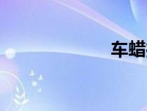 车蜡推荐（车蜡）
