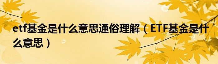 etf基金是什么意思通俗理解（ETF基金是什么意思）