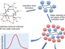 研究水作为溶剂的基本原理可以产生更环保的纤维素基产品