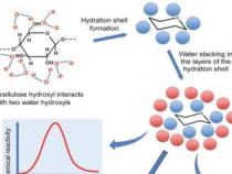 研究水作为溶剂的基本原理可以产生更环保的纤维素基产品