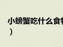 小螃蟹吃什么食物 家养 淡水（小螃蟹吃什么）