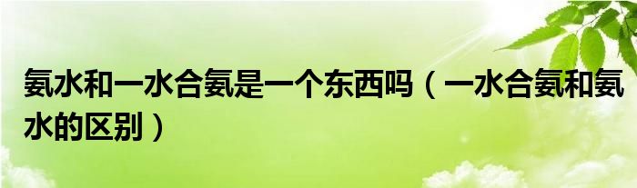 氨水和一水合氨是一个东西吗（一水合氨和氨水的区别）