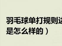 羽毛球单打规则边界(双人对打羽毛球的规则是怎么样的) 羽毛球单打规则边界(双人对打羽毛球的规则是怎么样的)