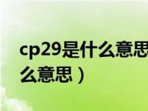 cp29是什么意思（满身风雨你从海上来是什么意思）
