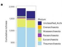 气候变暖中的古菌变得不那么多样化 更可预测