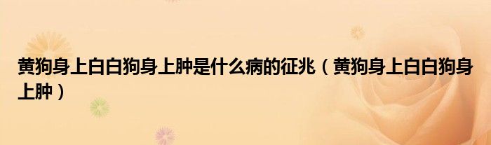 黄狗身上白白狗身上肿是什么病的征兆（黄狗身上白白狗身上肿）