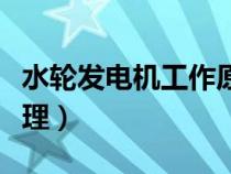 水轮发电机工作原理视频（水轮发电机工作原理）