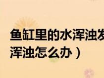 鱼缸里的水浑浊发绿可以浇花吗（鱼缸里的水浑浊怎么办）