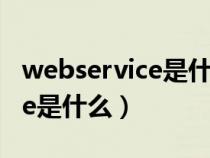 webservice是什么有什么作用（web service是什么）