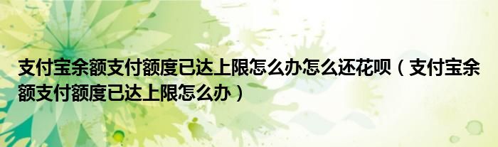 支付宝余额支付额度已达到上限怎么办(支付宝余额支付额度已达到上限怎么办)