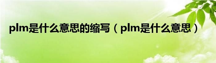 plm是什么意思的缩写（plm是什么意思）