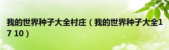 我的世界种子大全村庄（我的世界种子大全1 7 10）