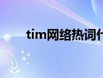 tim网络热词什么意思（tim网页版）