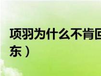 项羽为什么不肯回江东（项羽为什么不肯过江东）