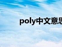 poly中文意思（poly是什么意思）