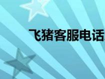 飞猪客服电话人工（飞猪客服电话）