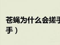 苍蝇为什么会搓手民间故事（苍蝇为什么会搓手）