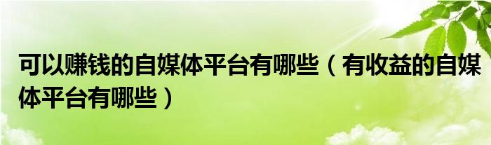 可以赚钱的自媒体平台有哪些（有收益的自媒体平台有哪些）