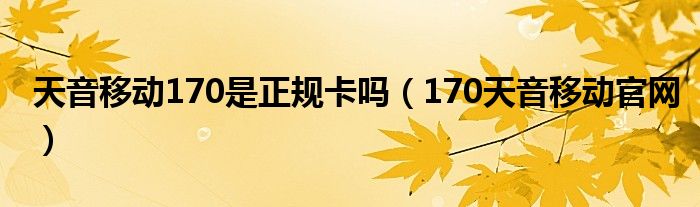 天音移动170是正规卡吗（170天音移动官网）