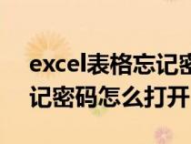 excel表格忘记密码怎么打开（excel表格忘记密码怎么打开）