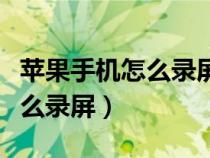 苹果手机怎么录屏幕视频有声音（苹果手机怎么录屏）