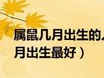 属鼠几月出生的人命最好（2020年属鼠的几月出生最好）