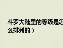 斗罗大陆里的等级是怎么排列的?（斗罗大陆里的等级是怎么排列的）