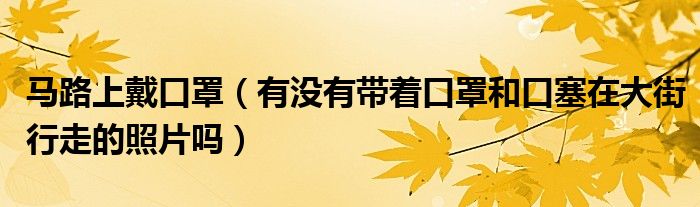 马路上戴口罩（有没有带着口罩和口塞在大街行走的照片吗）