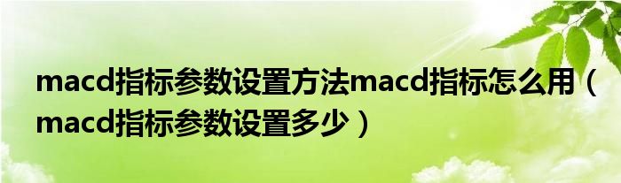 macd指数参数设置方法macd指数如何使用(macd指数参数设置多少)