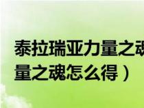 泰拉瑞亚力量之魂怎么获得视频（泰拉瑞亚力量之魂怎么得）