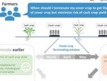 覆盖作物管理：研究发现碳效益与作物产量之间的权衡