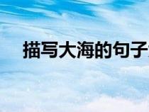 描写大海的句子大全（描写大海的句子）