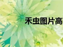 禾虫图片高清图（禾虫的功效）