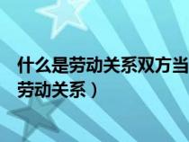 什么是劳动关系双方当事人因劳动问题引起的纠纷（什么是劳动关系）