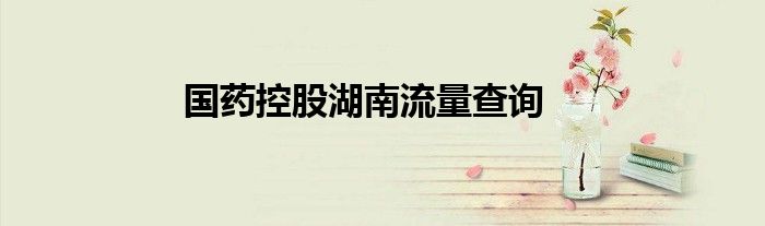 国药控股湖南流量查询