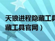 天狼进程隐藏工具官网怎么打开（天狼进程隐藏工具官网）