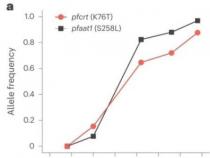 研究涉及疟疾寄生虫对氯喹的抗性进化中的第二个基因