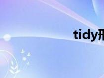 tidy形容词（tidy）