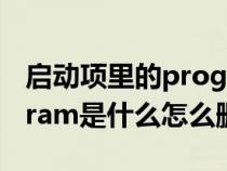 启动项里的program能禁用吗（启动项program是什么怎么删除）