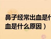 鼻子经常出血是什么原因严重吗(鼻子经常出血是什么原因) 鼻子经常出血是什么原因严重吗(鼻子经常出血是什么原因)