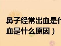 鼻子经常出血是什么原因严重吗（鼻子经常出血是什么原因）