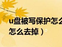 u盘被写保护怎么强制格式化（u盘被写保护怎么去掉）