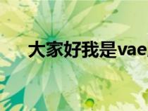 大家好我是vae版本（大家好我是vae）