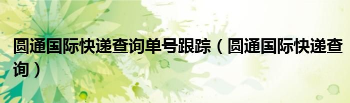 圆通国际快递查询单号跟踪（圆通国际快递查询）