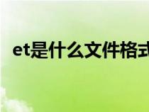 et是什么文件格式(et xlsx 6是什么文件) et是什么文件格式(et xlsx 6是什么文件)
