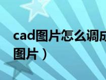 cad图片怎么调成想要的尺寸（cad怎么插入图片）