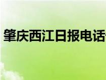 肇庆西江日报电话号码（肇庆西江日报官网）